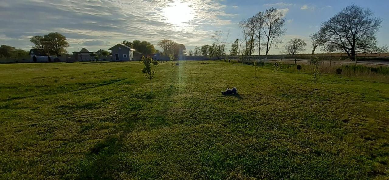 Wierzbowa Ostoja - Letniskowy Bosman Holiday home Karsibor